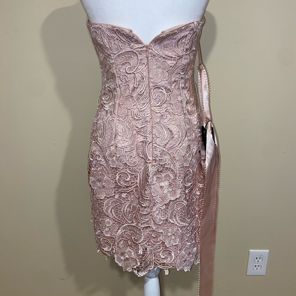Adrianna Papell Strapless Lace Mini Dress in Blush - Picture 2 of 8